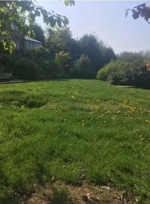 Cleaning and property maintenance project completed by Spic and Span Moss in Macclesfield