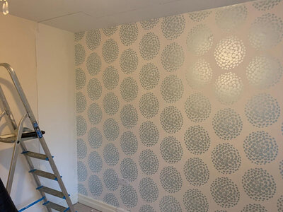 Cleaning and property maintenance project completed by Spic and Span Moss in Macclesfield