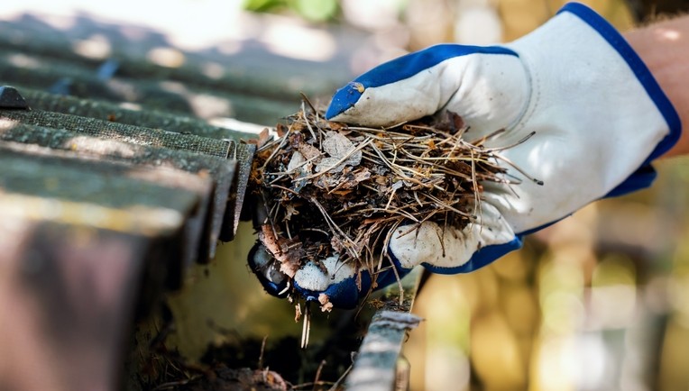 Gutter & Fascia Cleaning